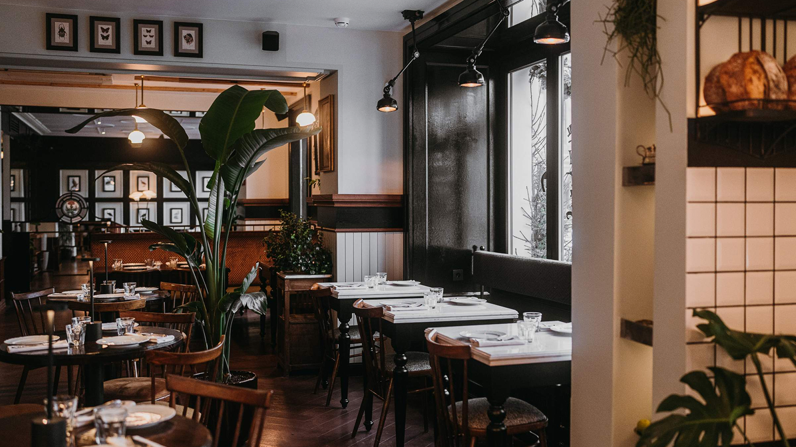 Фото из статьи