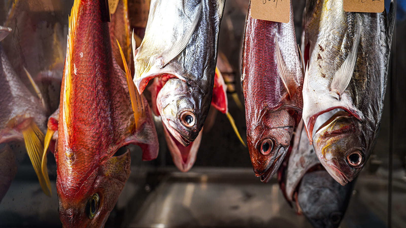 Фото из статьи