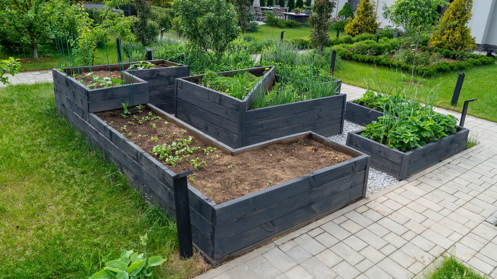 Фото из статьи