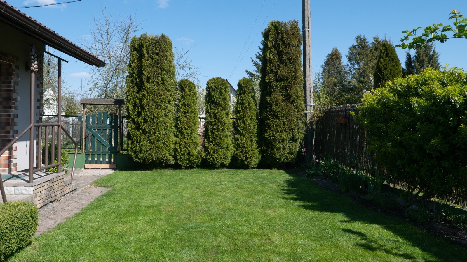 Фото из статьи