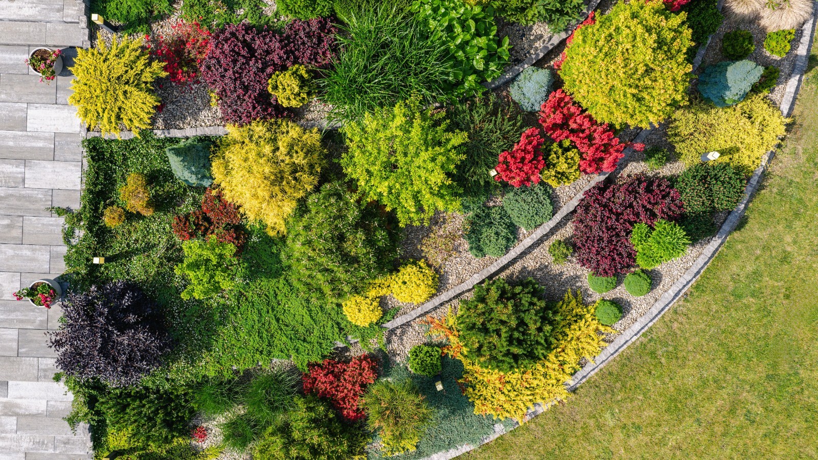 Фото из статьи