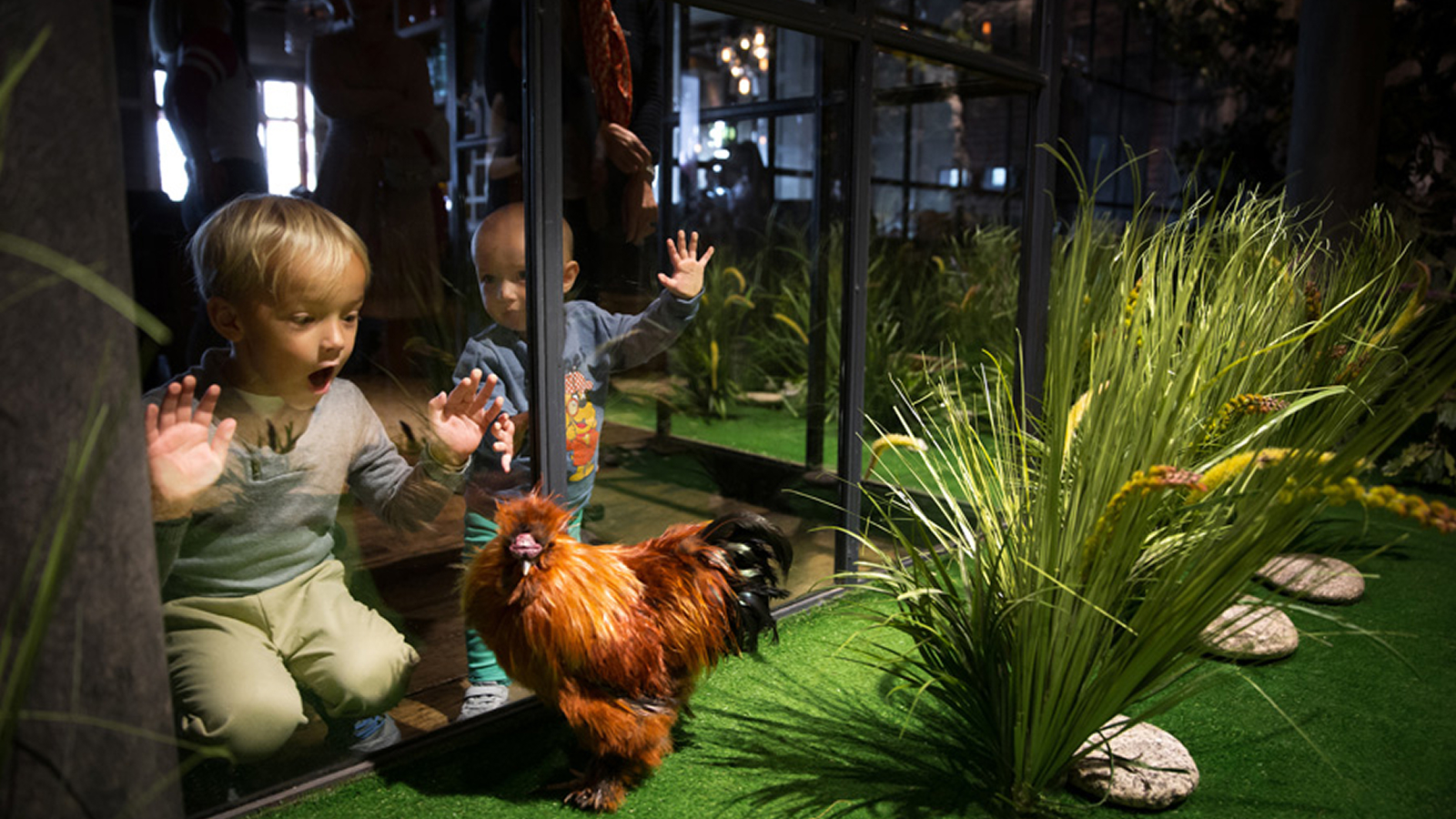 Фото из статьи