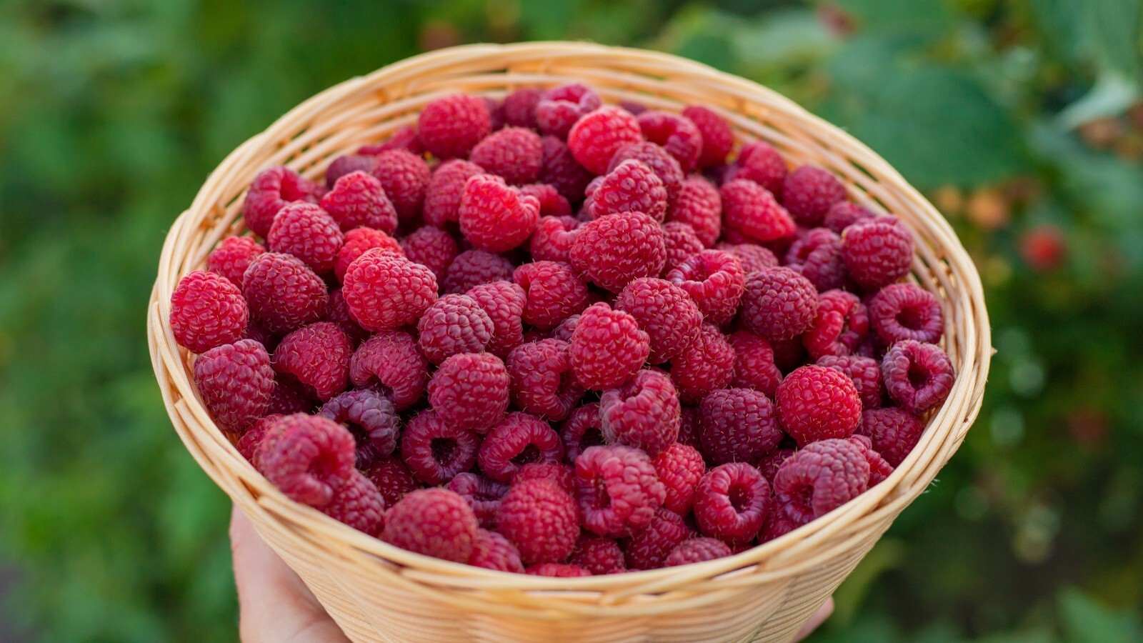 Фото из статьи