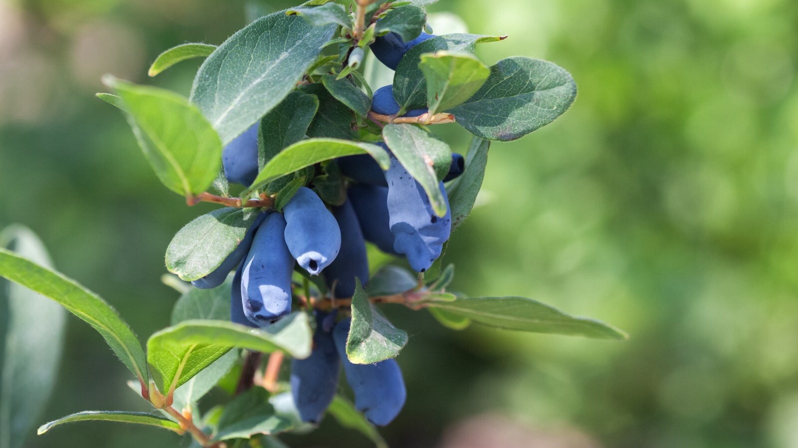 Фото из статьи