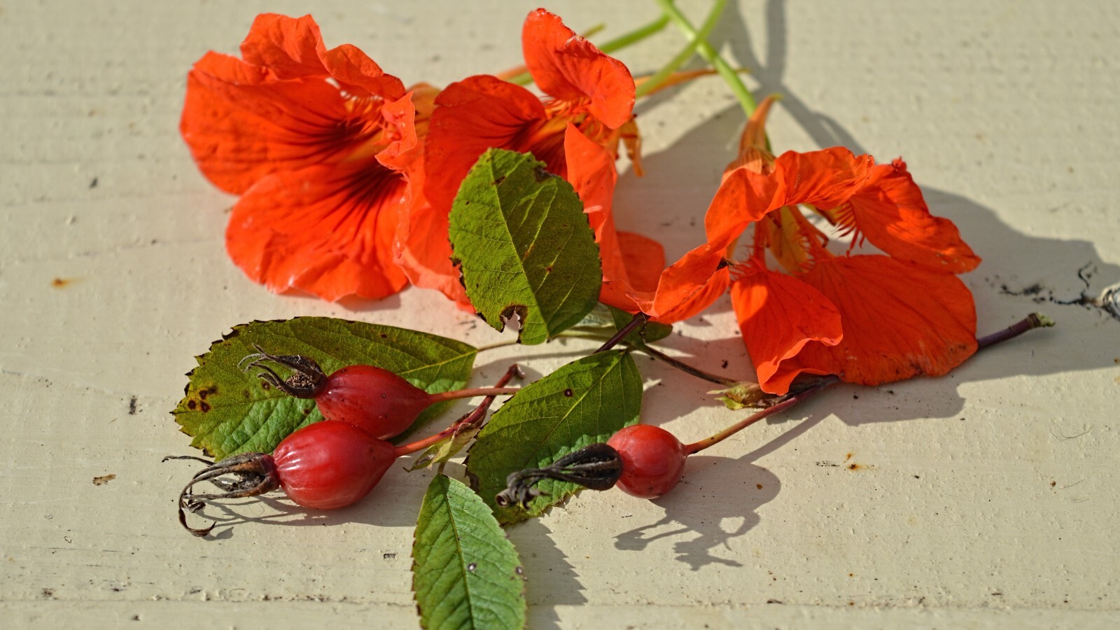 Фото из статьи