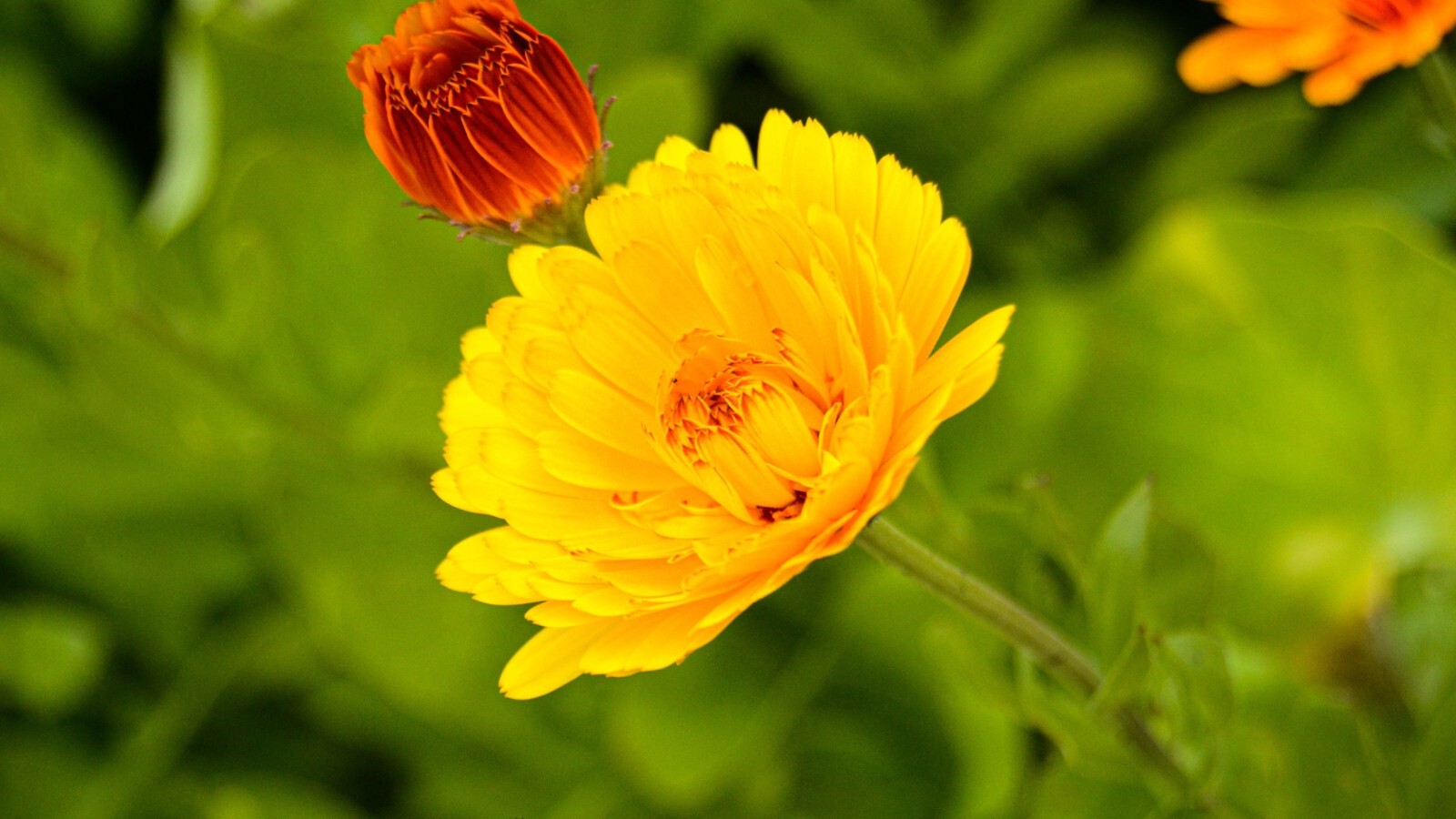 Фото из статьи