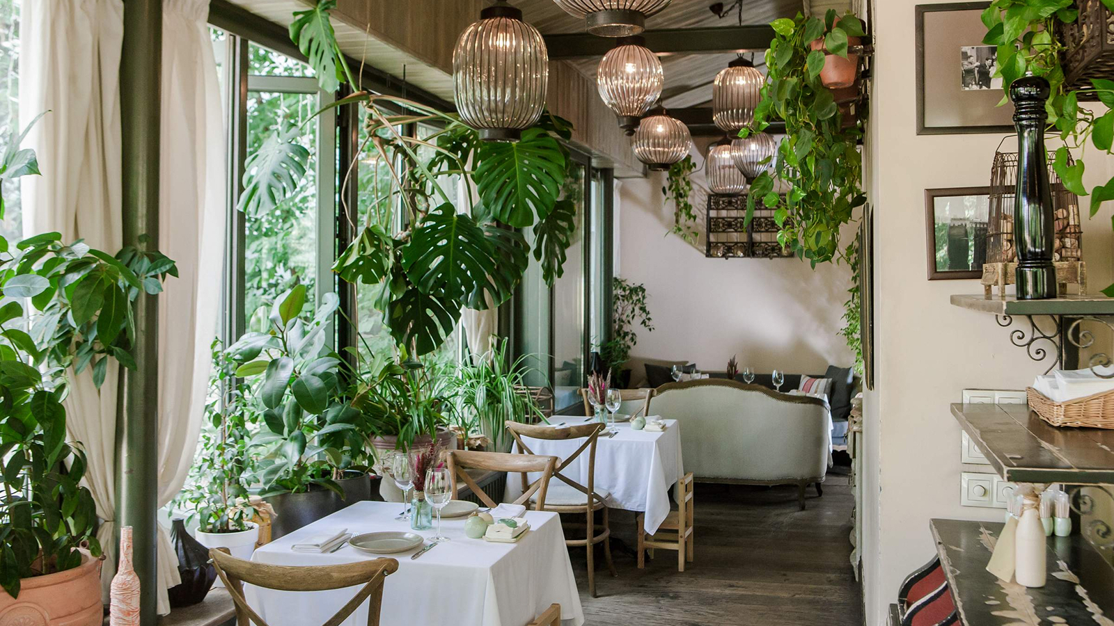 Фото из статьи