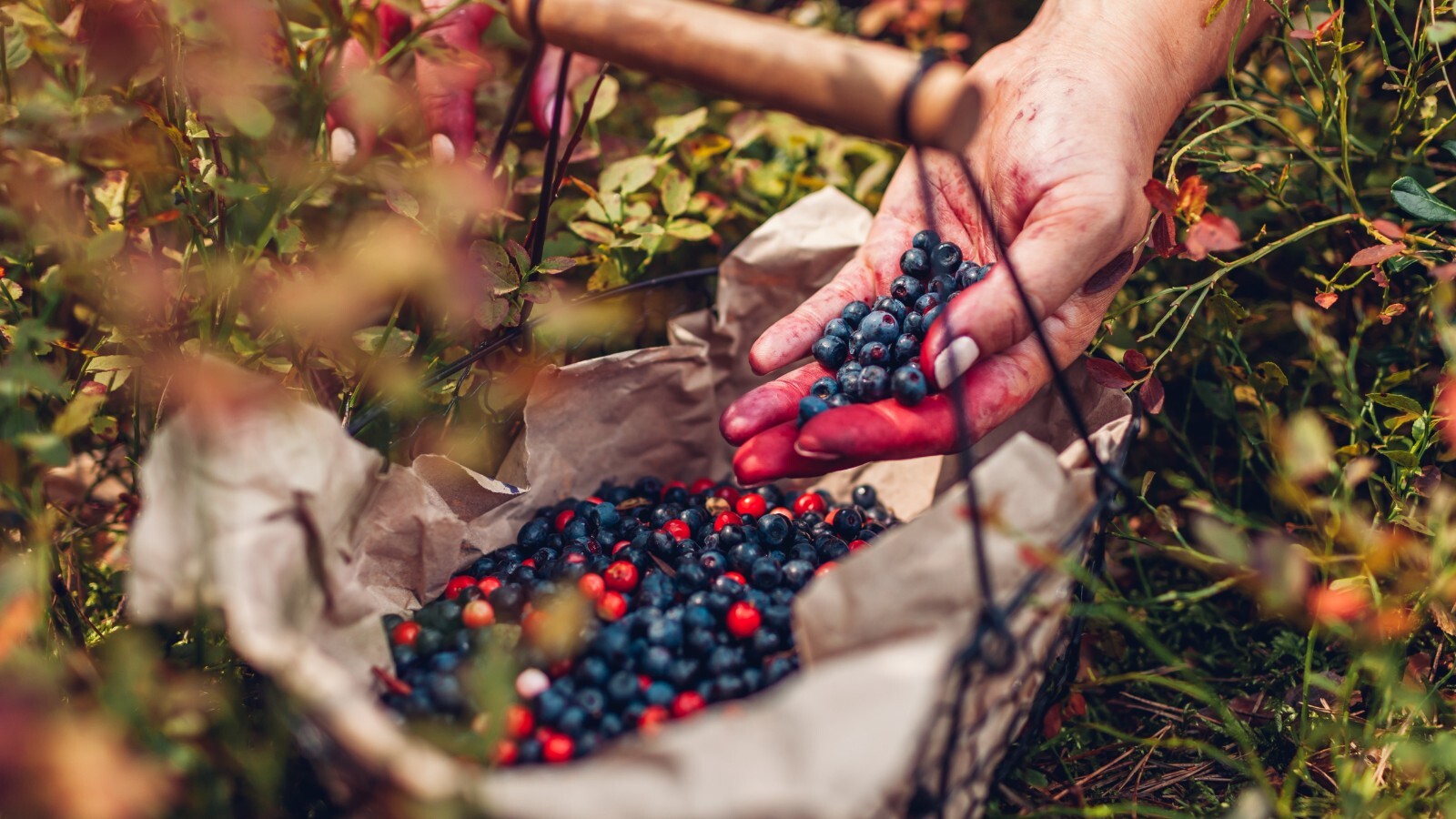 Фото из статьи