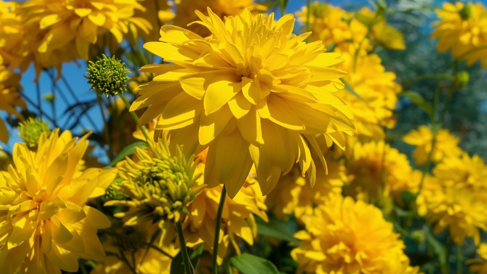 Фото из статьи