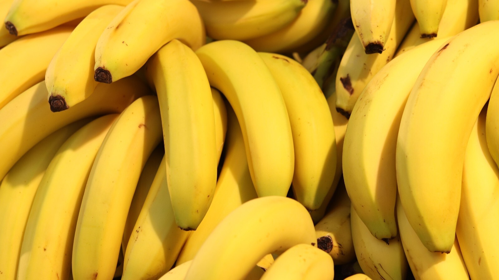 Фото из статьи