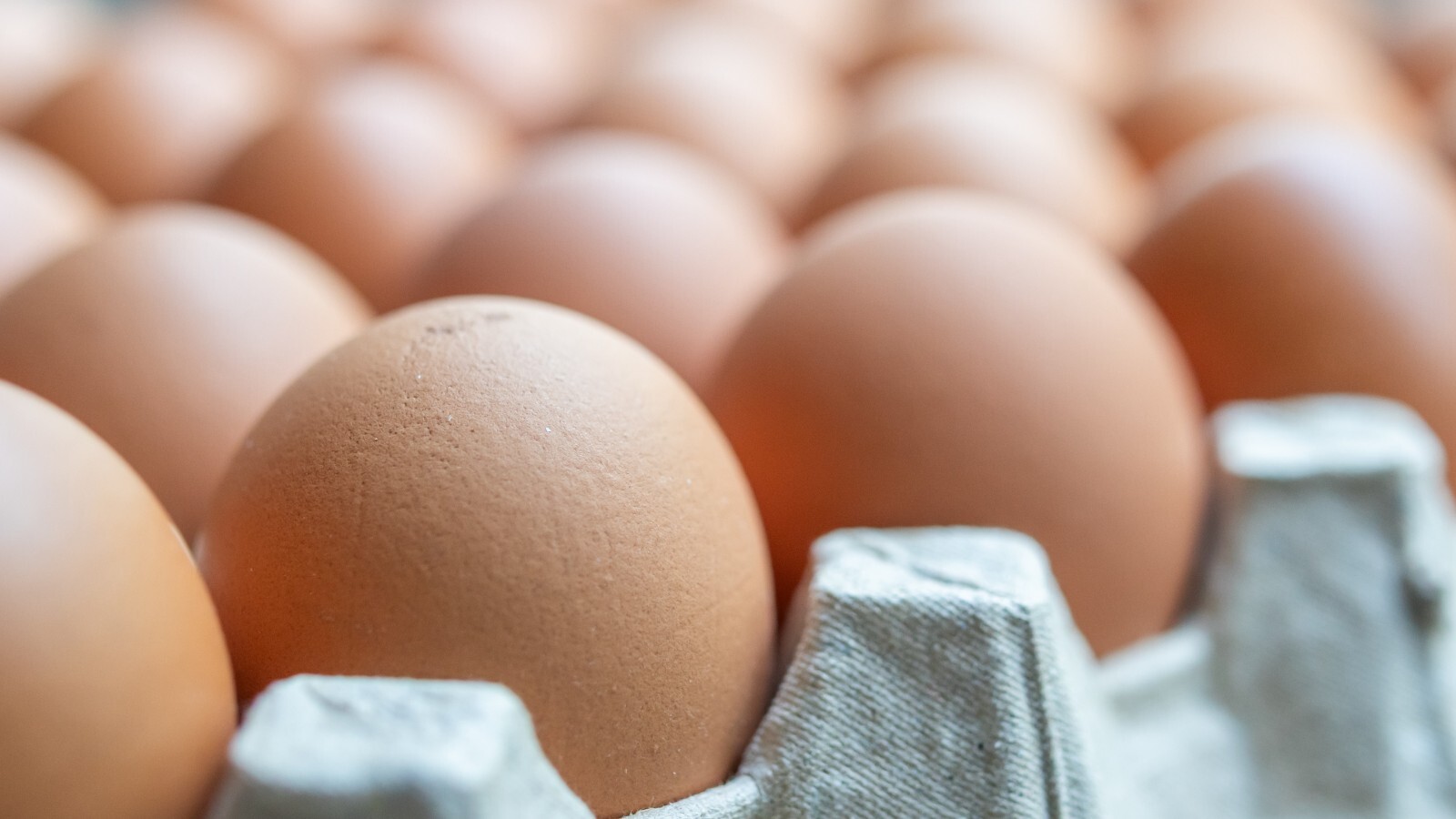 Фото из статьи