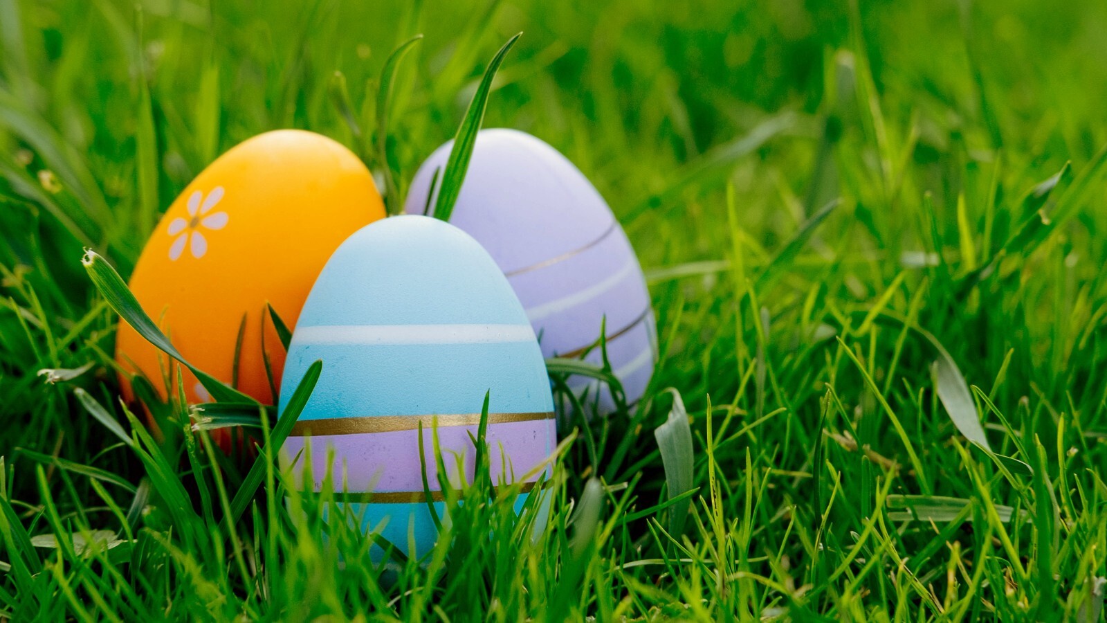 Фото из статьи