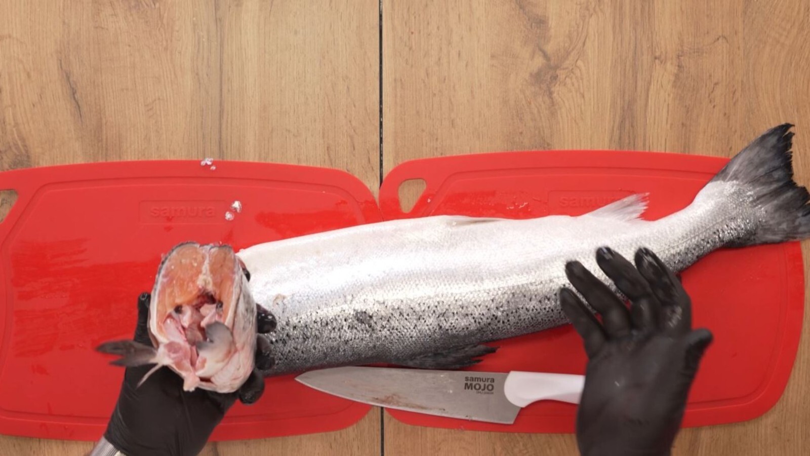 Фото из статьи