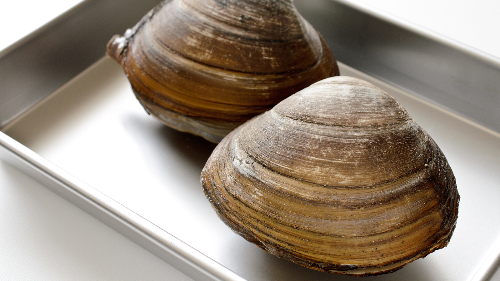 Фото из статьи