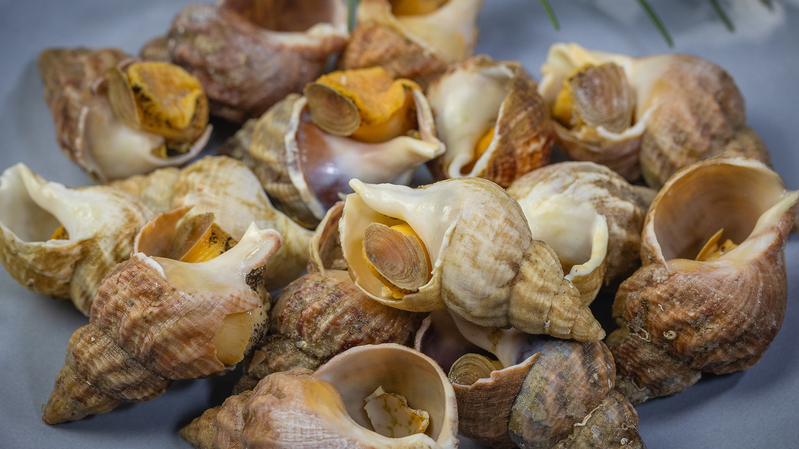 Фото из статьи