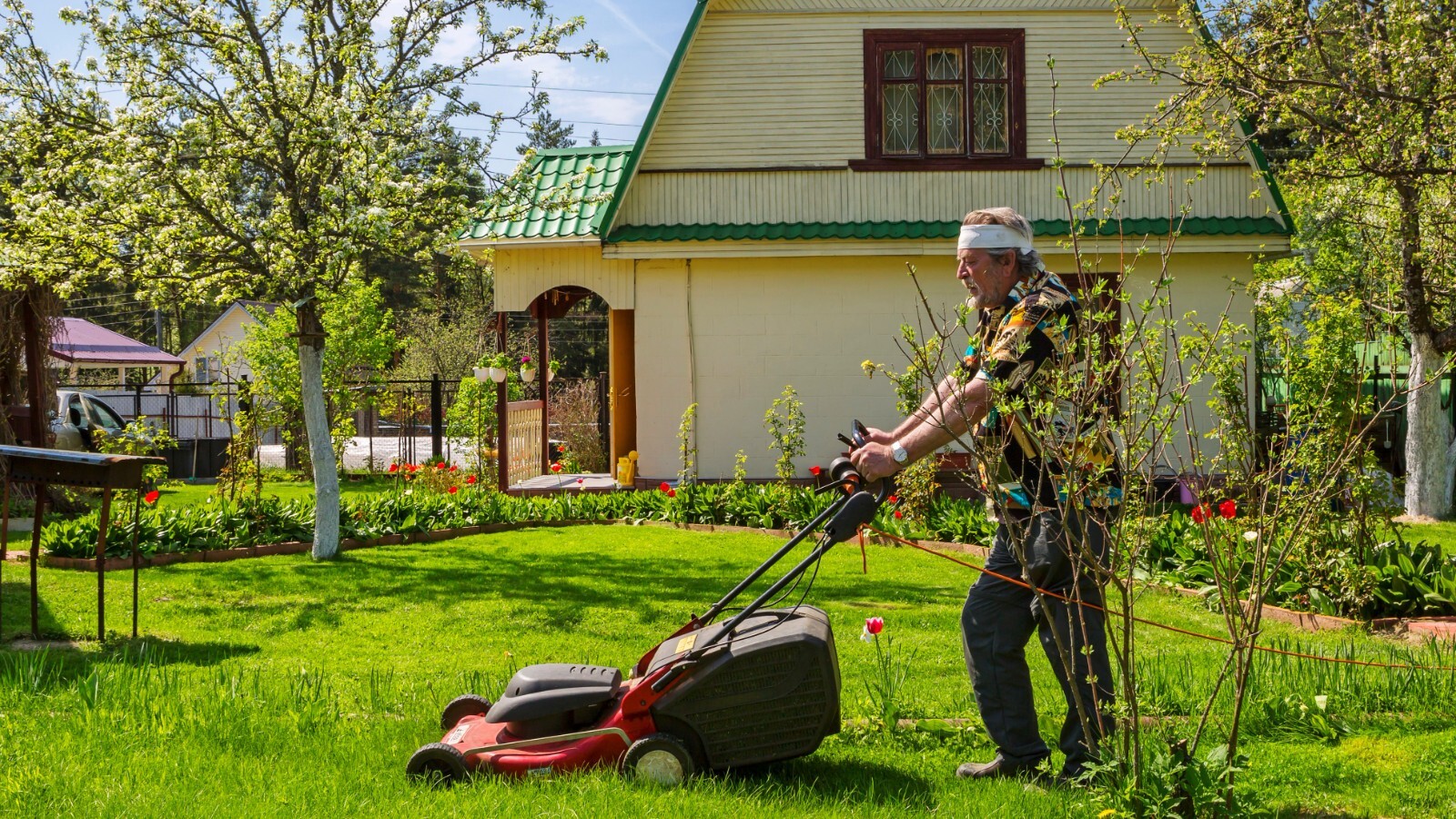 Фото из статьи