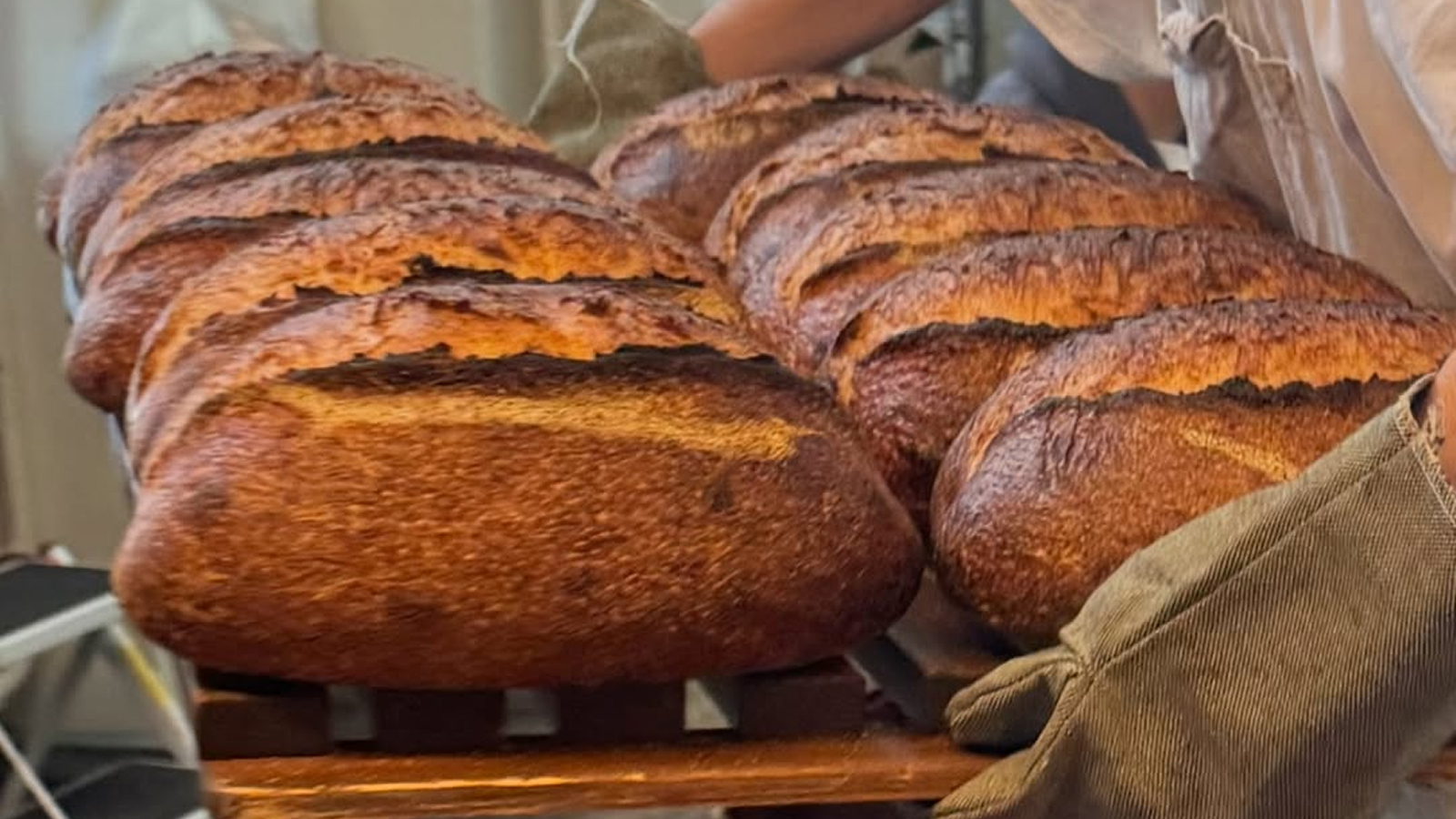 Фото из статьи