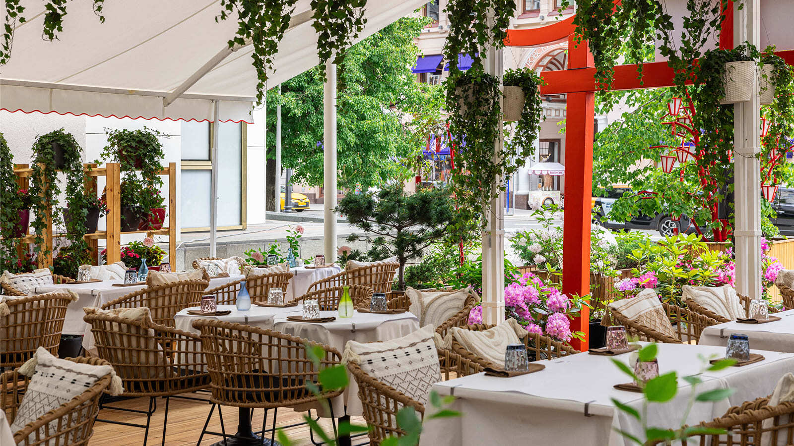 Фото из статьи